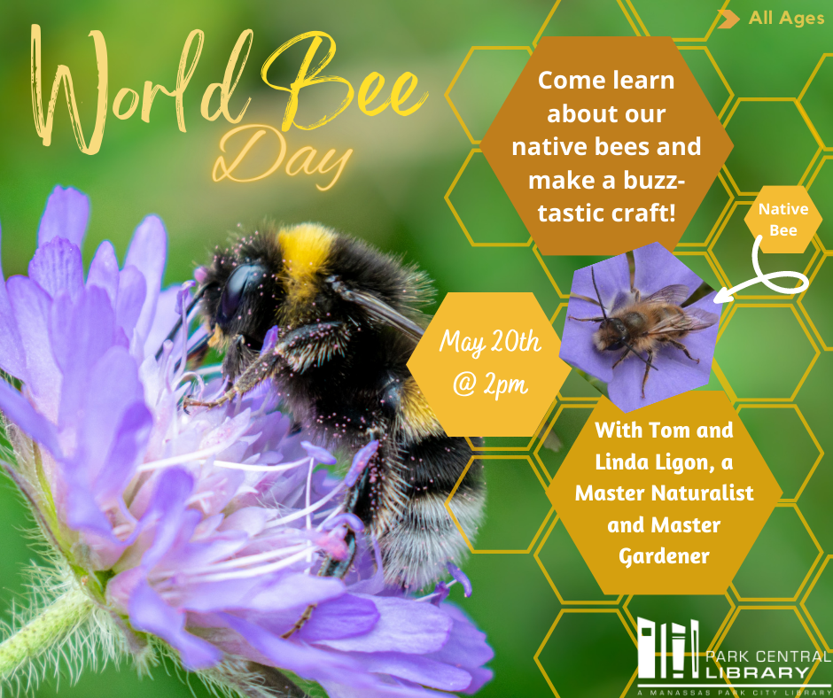 World Bee Day