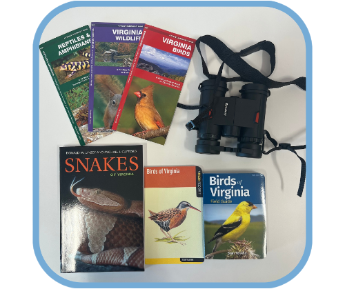 Virginia Birds & Animals