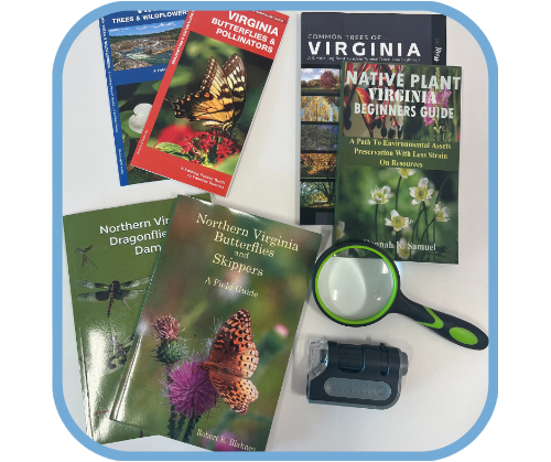 Virginia Plants & Bugs